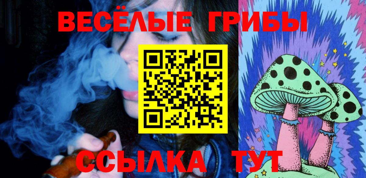 Псилоцибиновые грибы Cubensis Ижевск