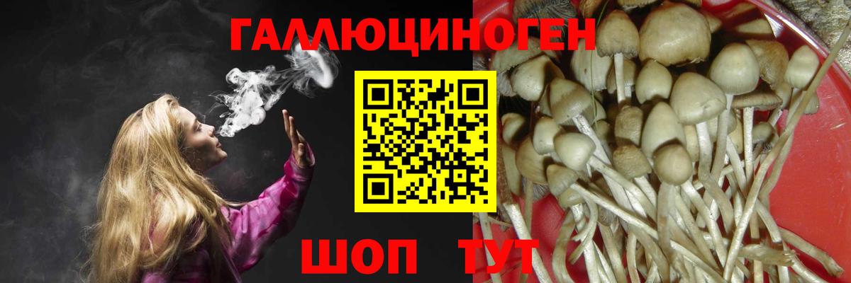 Ижевск  Псилоцибиновые грибы MAGIC MUSHROOMS  Вход с VPN 